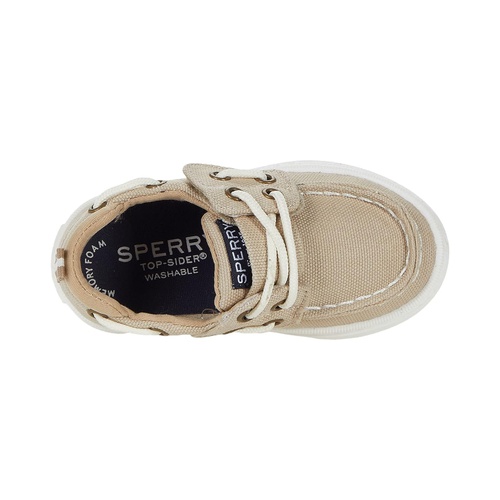 스페리탑사이더 Sperry Kids Sea Ketch Washable (Toddleru002FLittle Kid)