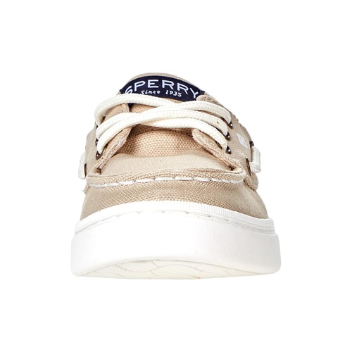 스페리탑사이더 Sperry Kids Sea Ketch (Little Kidu002FBig Kid)