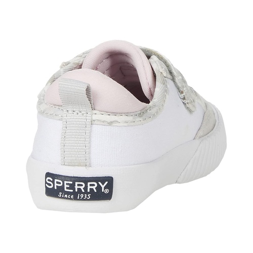 스페리탑사이더 Sperry Kids Covetide Jr Washable (Toddleru002FLittle Kid)