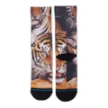 Stance Two Tigers