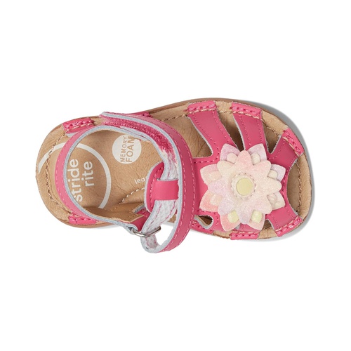  Stride Rite SRT Lottie (Toddler)