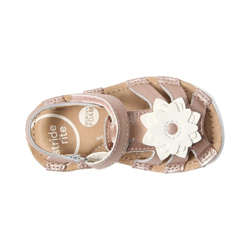  Stride Rite SRT Lottie (Toddler)