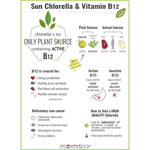  Sun Chlorella Powder Green Algae Superfood Supplement Supports Whole Body Wellness Immune Defense, Gut Health & Natural Energy Boost - Chlorophyll, B12, Protein, Non-GMO - 30 Packe