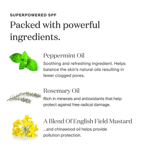  Supergoop! x Rebecca Taylor - Defense Refresh (Re) setting Mist SPF 50, 1 fl oz - Makeup Setting Spray & Face Sunscreen with Rosemary & Peppermint Extract - Light, Refreshing Scent