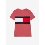 TOMMY ADAPTIVE Colorblock Flag T-Shirt