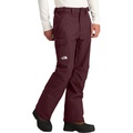 Freedom Pant - Mens