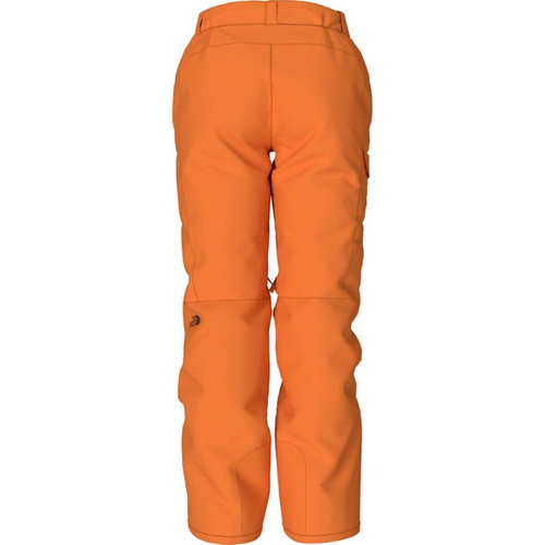 노스페이스 Freedom Insulated Pant - Womens