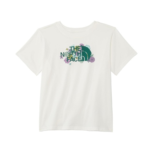 노스페이스 The North Face Kids Short Sleeve Graphic Tee (Little Kids/Big Kids)