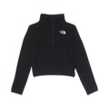 The North Face Kids Glacier Pullover (Little Kids/Big Kids)