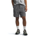 Mens The North Face Action 20 Shorts