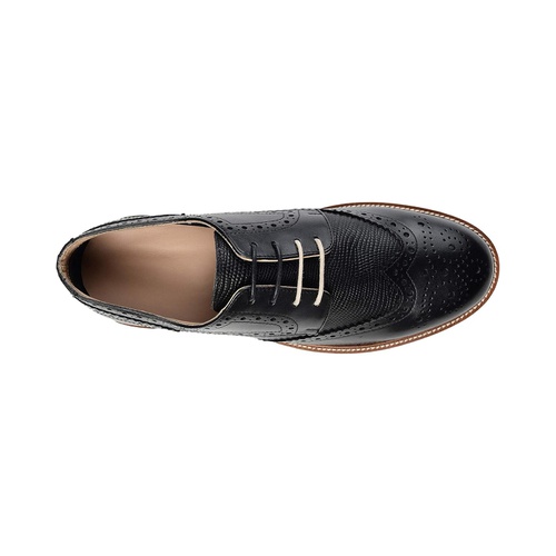  Thomas & Vine Conrad Wing Tip Derby