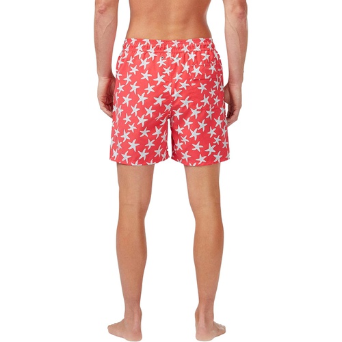  Tom & Teddy Starfish Swim Trunks