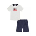 Toddler Boys Heather T-Shirt and Solid Shorts Set