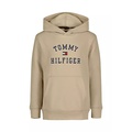 Boys 8-20 Pullover Hoodie