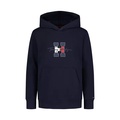 Boys 4-7 Script Pullover Hoodie