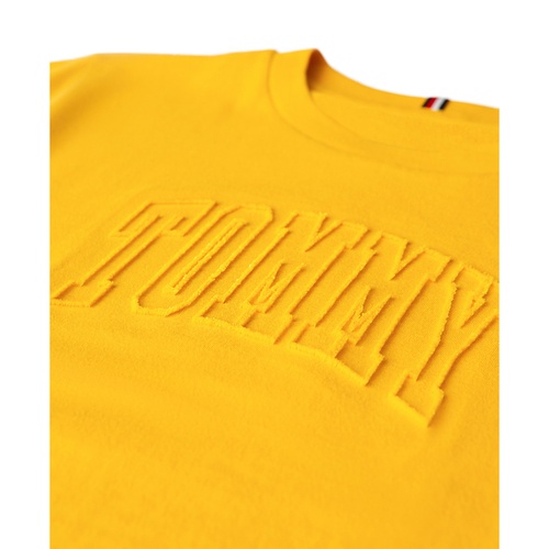 타미힐피거 Toddler Boys Tonal Tufted-Chenille Logo Graphic T-Shirt