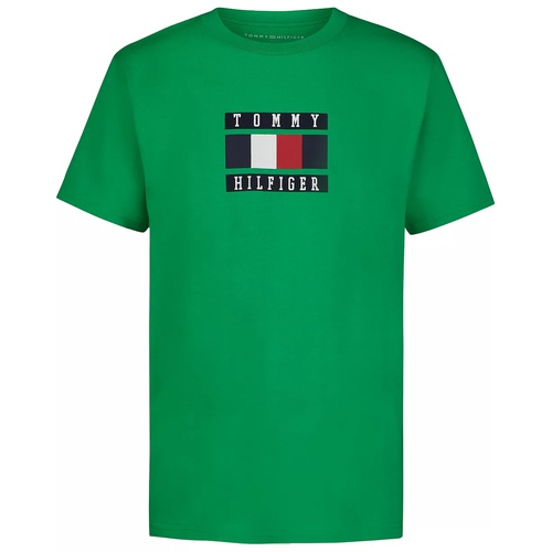 타미힐피거 Little Boys Global Stripe Block Logo Graphic T-Shirt