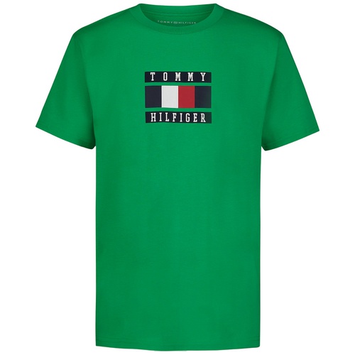 타미힐피거 Toddler Boys Global Stripe Block Logo Graphic T-Shirt