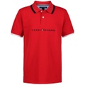 Toddler and Little Boys Tomas Embroidered Logo Polo Shirt