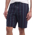 Mens Brooklyn Straight Fit Foulard Striped 9 Shorts