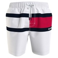 Mens Big & Tall Signature Flag Swim Trunk