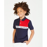 Toddler and Little Boys Logo Graphic Colorblocked Polo