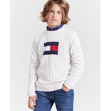 Toddler and Little Boys Flag Crew Sweater