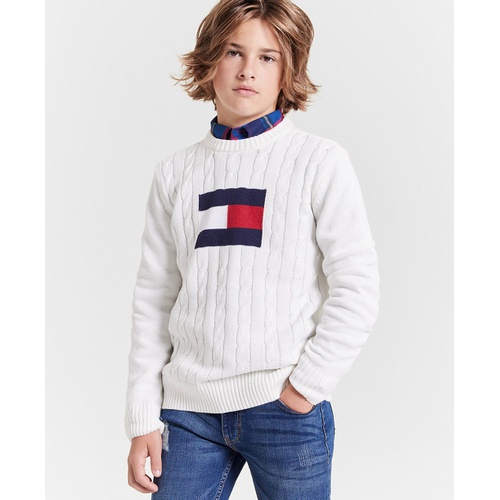 타미힐피거 Toddler and Little Boys Flag Crew Sweater