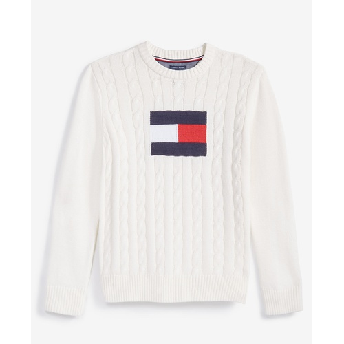 타미힐피거 Toddler and Little Boys Flag Crew Sweater