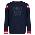 Toddler and Little Boys Varsity Crewneck Sweatshirt