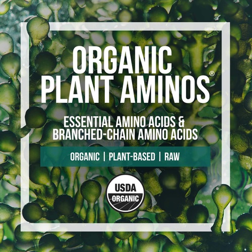  Triquetra Health Plant Aminos Organic Essential Amino Acids (EAAs) & BCAA - 100% Plant-Based Raw, Vegan - All 9 Essential Amino Acids with 18 Total Amino Acids (360 Tablets)