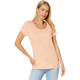 U.S. POLO ASSN. Scoop Neck Solid T-Shirt