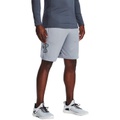 Under Armour UA Tech Graphic Shorts