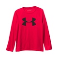 Under Armour Kids Tech Big Logo Long Sleeve (Big Kids)