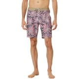 VISSLA Cabezas 18.5 Boardshorts