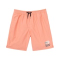 Vans Kids Primary Volley II Shorts (Big Kids)