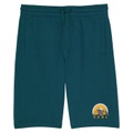 Vans Kids Off The Wall Vibes Fleece Shorts (Big Kids)