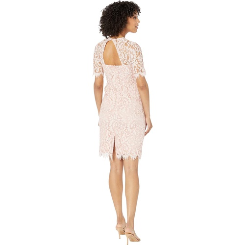  Vince Camuto Lace Jewel Neck Elbow Sleeve Bodycon Open Back Dress