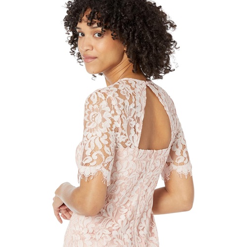  Vince Camuto Lace Jewel Neck Elbow Sleeve Bodycon Open Back Dress