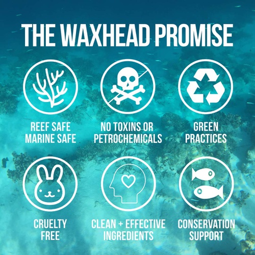  Waxhead Sun Defense Foods Waxhead Tinted Tins - Sport + Waterman Sunscreen Paste, 4 Ingredients, Biodegradable Sunscreen Reef Safe, Eco Friendly, Surf Sunscreen Tin, Non Nano Zinc Oxide (SPF 30, 5-pack, Tin