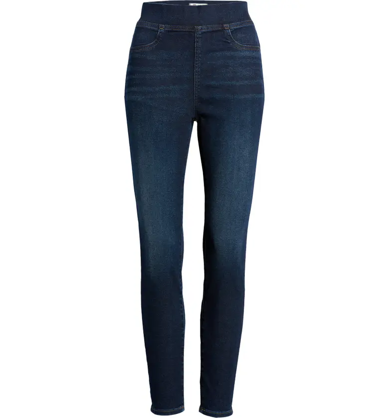 Madewell Pull-On Skinny Jeans_WISTERIA WASH