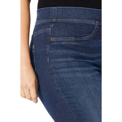 메이드웰 Madewell Plus Pull-On Skinny Jeans in Wisteria Wash